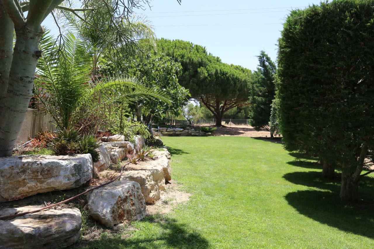 Quinta Do Pinheiro Manso - Holidays Villa - Marinha Beach Карвоейру Экстерьер фото